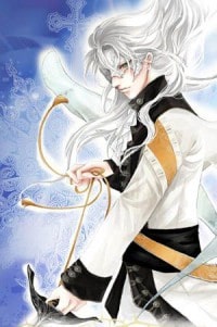 鳳尾蝶花戀